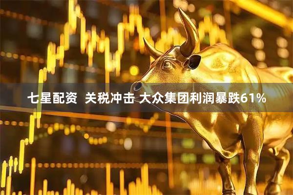 七星配资  关税冲击 大众集团利润暴跌61%